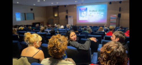 Alcazar projection public2