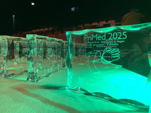 primed 2025 - Remise des prix-4