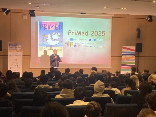 primed 2025 - prix des jeunes  - alcazar1