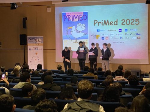 primed 2025 - prix des jeunes - alcazar7
