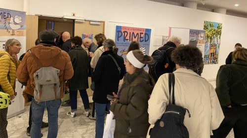 projections-Alcazar---PriMed-2025